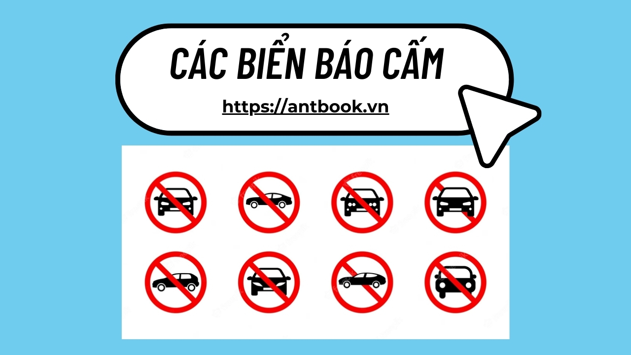 Các biển báo cấm: Phân loại và ý nghĩa của từng loại trong giao thông Các biển báo cấm: Phân loại và ý nghĩa của từng loại trong giao thông