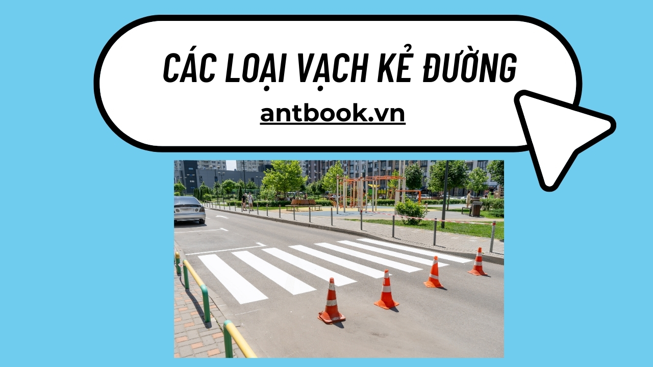 Các loại vạch kẻ đường: Cách phân biệt và ý nghĩa Các loại vạch kẻ đường: Cách phân biệt và ý nghĩa