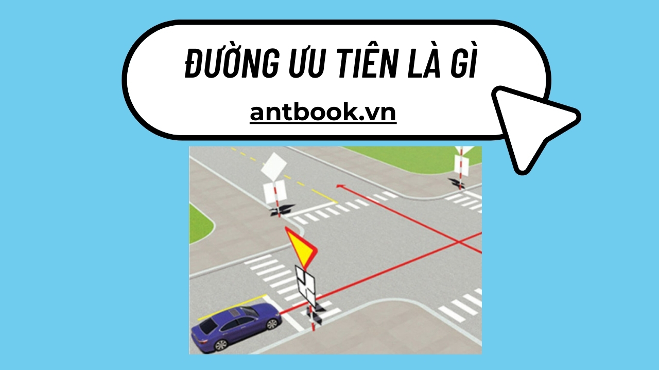 Đường ưu tiên là gì mà ai cũng phải nhường? 2p tìm hiểu nhanh Đường ưu tiên là gì mà ai cũng phải nhường? 2p tìm hiểu nhanh