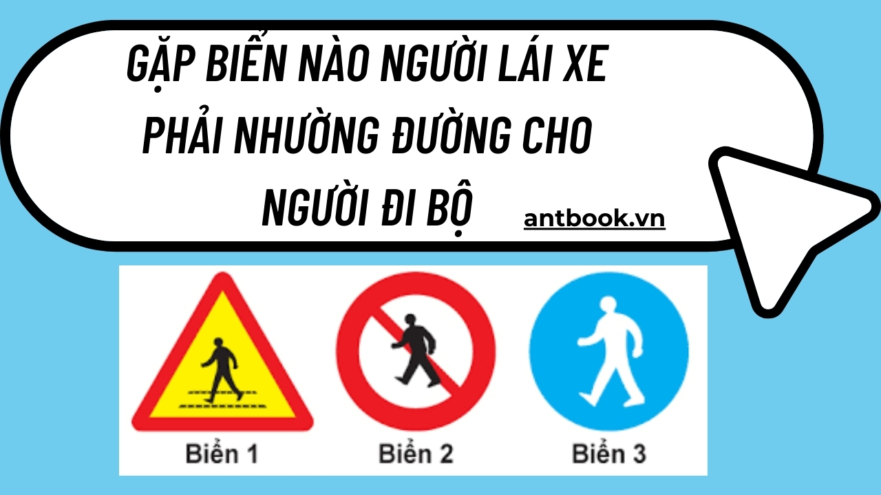 Gặp biển nào người lái xe phải nhường đường cho người đi bộ? Gặp biển nào người lái xe phải nhường đường cho người đi bộ?