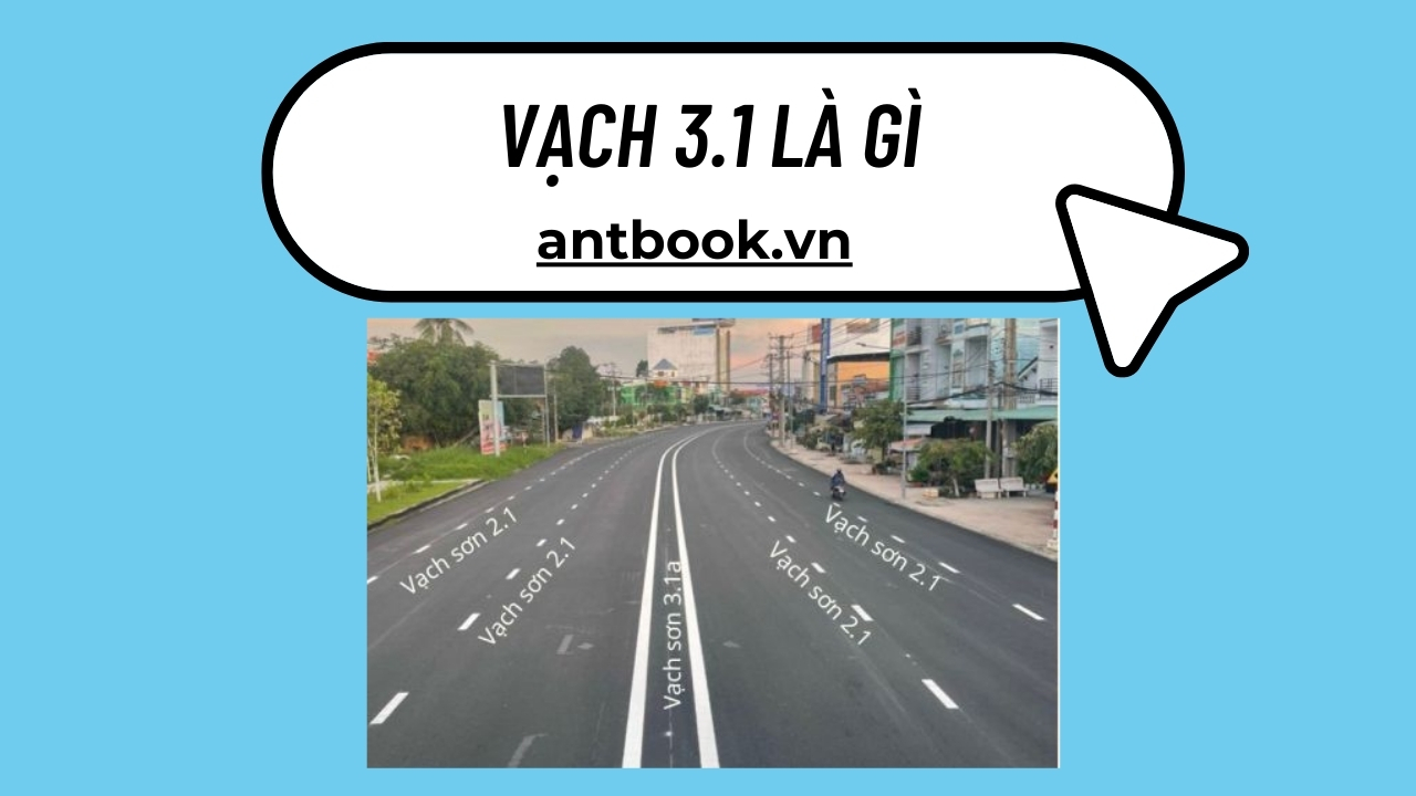 Vạch 3.1: 7 điều chưa biết về sơn vạch kẻ đường mép vỉa hè Vạch 3.1: 7 điều chưa biết về sơn vạch kẻ đường mép vỉa hè