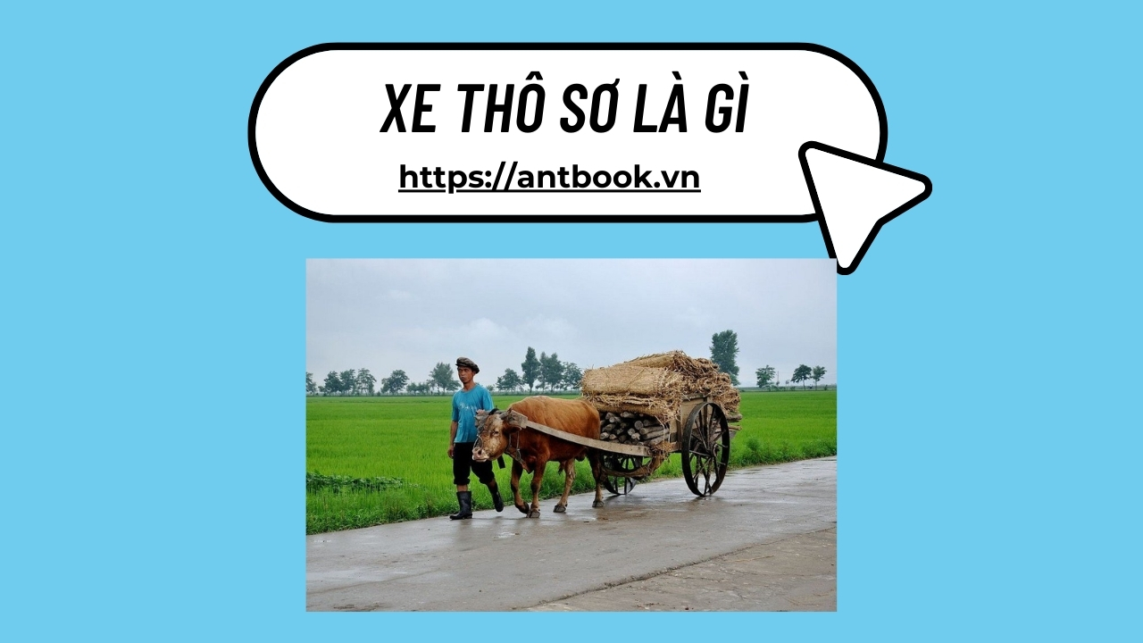 Xe thô sơ là gì? Bộ Công An quy định về xe thô sơ mới nhất 2025 Xe thô sơ là gì? Bộ Công An quy định về xe thô sơ mới nhất 2025